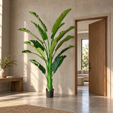 Ultimate Luxury Extra Large Artificial Bird of Paradise Plant 240cm | Strelitzia Nicolai - styled product image C