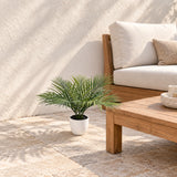 Premium Artificial Areca Palm Tree 50cm UV Resistant - styled product image A