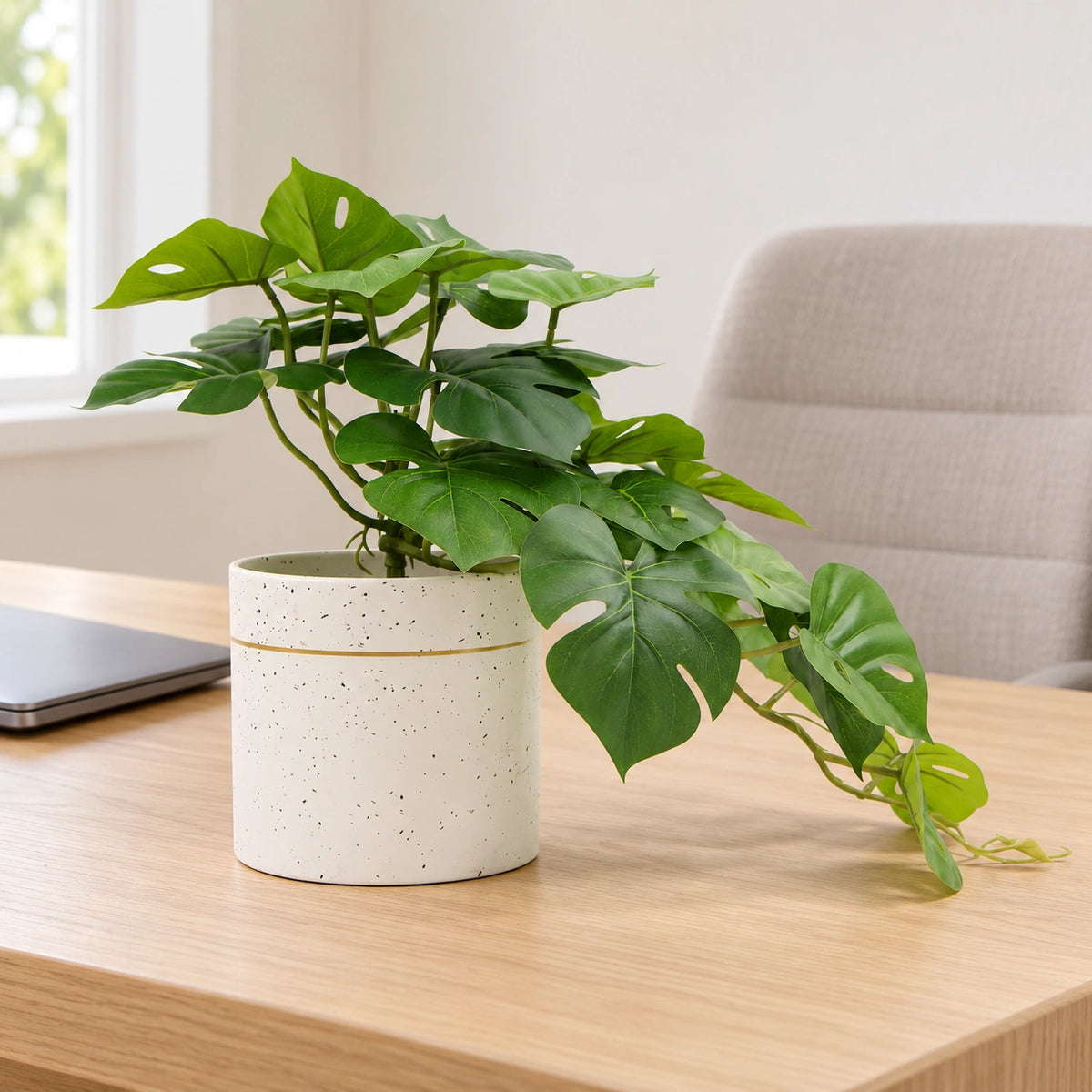 Decorative Artificial Monstera Adansonii Plant in Ceramic Bowl 30cm - styled product image B
