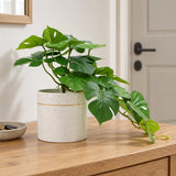 Decorative Artificial Monstera Adansonii Plant in Ceramic Bowl 30cm - styled product image C