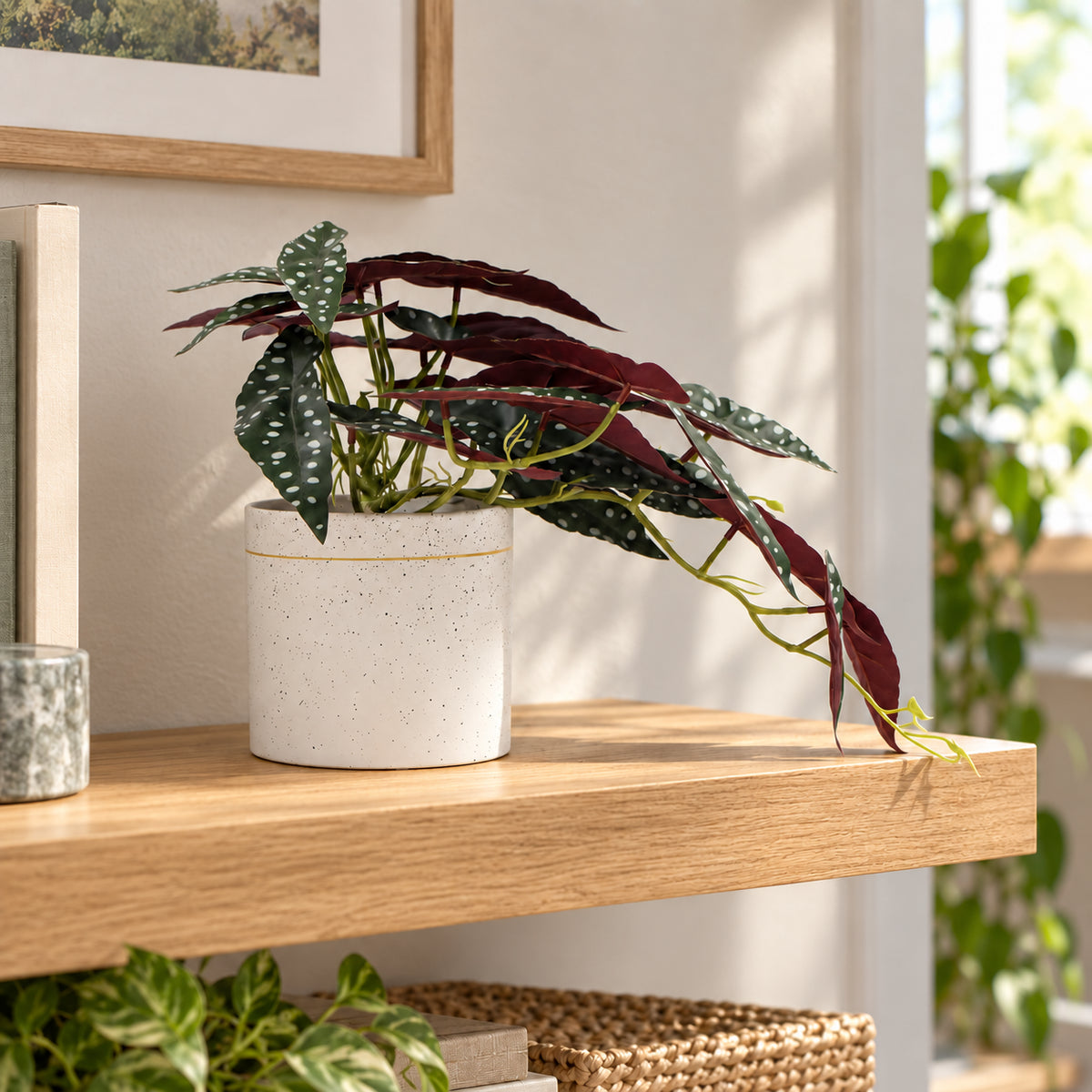 Artificial Begonia Maculata Plant In Decorative Bowl 30cm - styled product image A