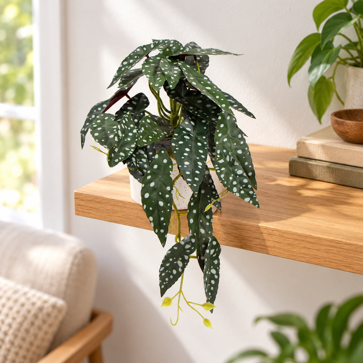Artificial Begonia Maculata Plant In Decorative Bowl 30cm - styled product image C