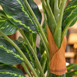 Premium Artificial Cordyline Fructicosa Green / Ti Plant 90cm - styled product image C