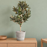 Imitation Grey Stone Pot 20cm - styled product image C