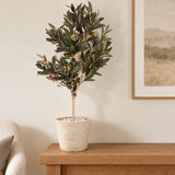 Imitation Stone (White / Cream) Pot 20cm - styled product image C