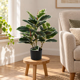Artificial Bushy Dense Variegated Ficus Tree (Rubber Tree) 50cm - styled product image C