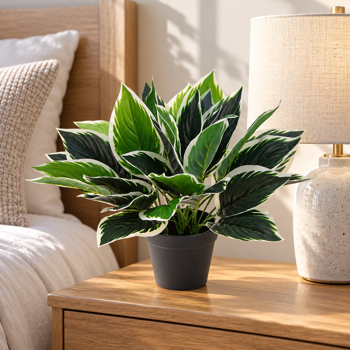 Dense Potted Artificial Calathea Plant 35cm - styled product image A