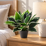 Dense Potted Artificial Calathea Plant 35cm - styled product image A