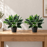 Dense Potted Artificial Calathea Plant 35cm - styled product image B