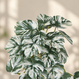 Artificial White & Green Monstera Albo Variegata 45cm - styled product image C