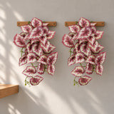 Artificial Red Variegated Hanging Tropical Ginger Plant 45cm - styled product image C
