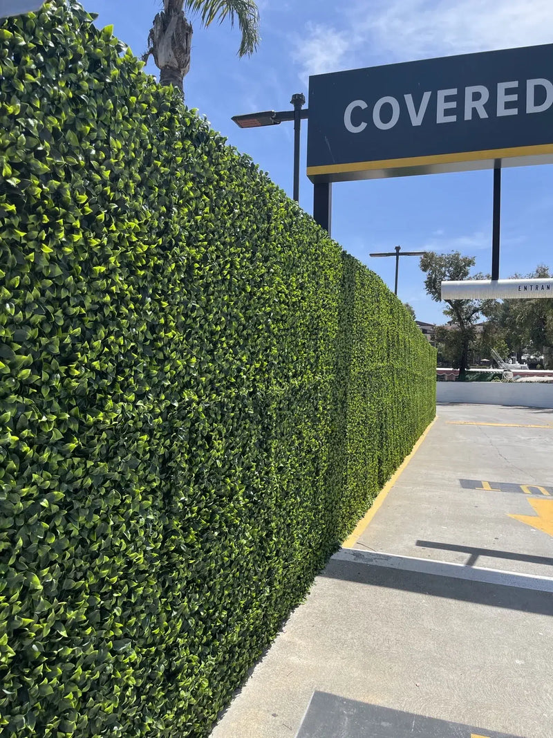 Transformed with Greenery: A Lush Jasmine Hedge Makeover