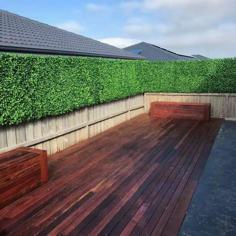 After – Installation of Jasmine Hedge Screen