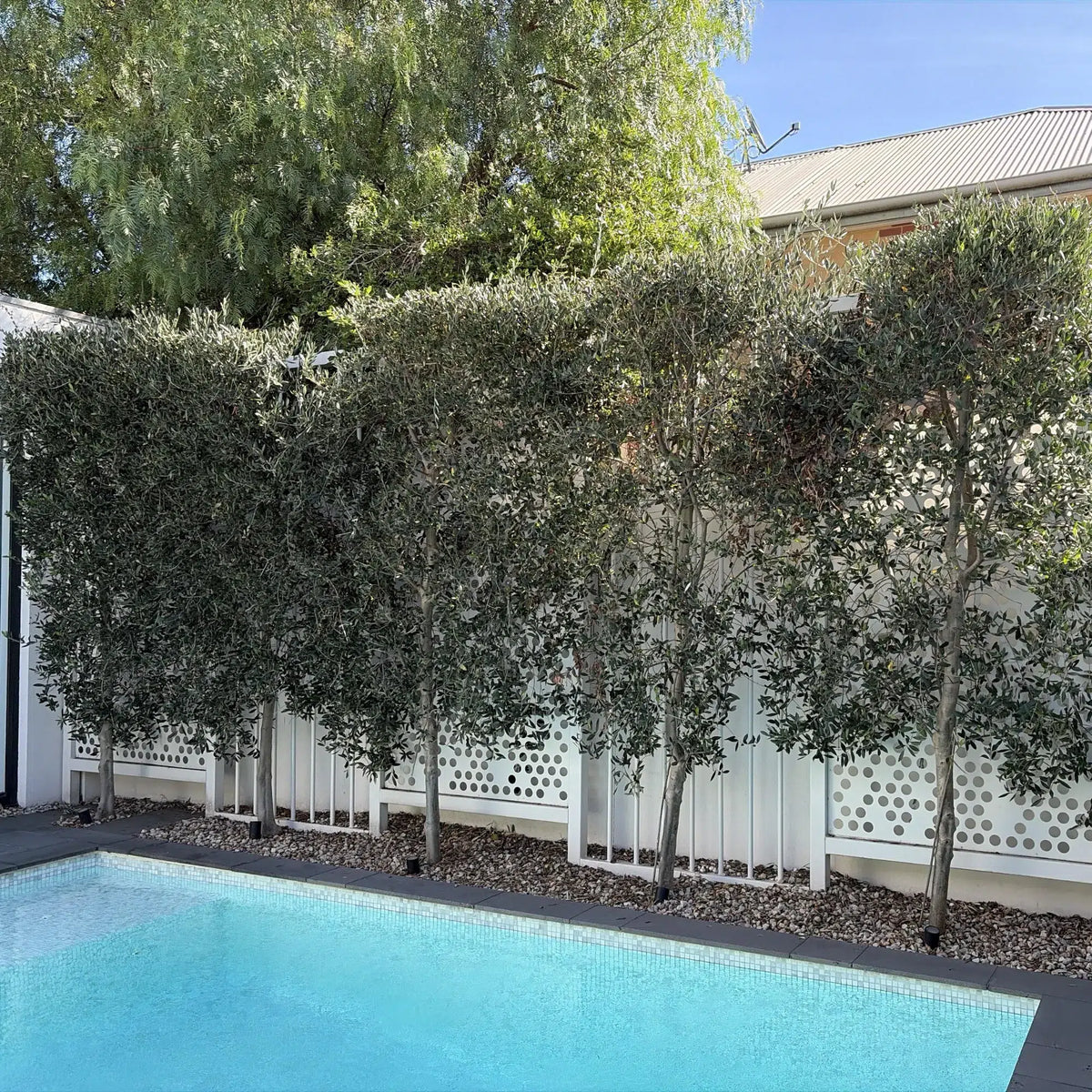 Before Installation – Poolside Fence Area Ready for Luxury White Oasis Green Wall