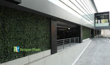 Laurel Hedge Panels UV Resistant 1m x 1m