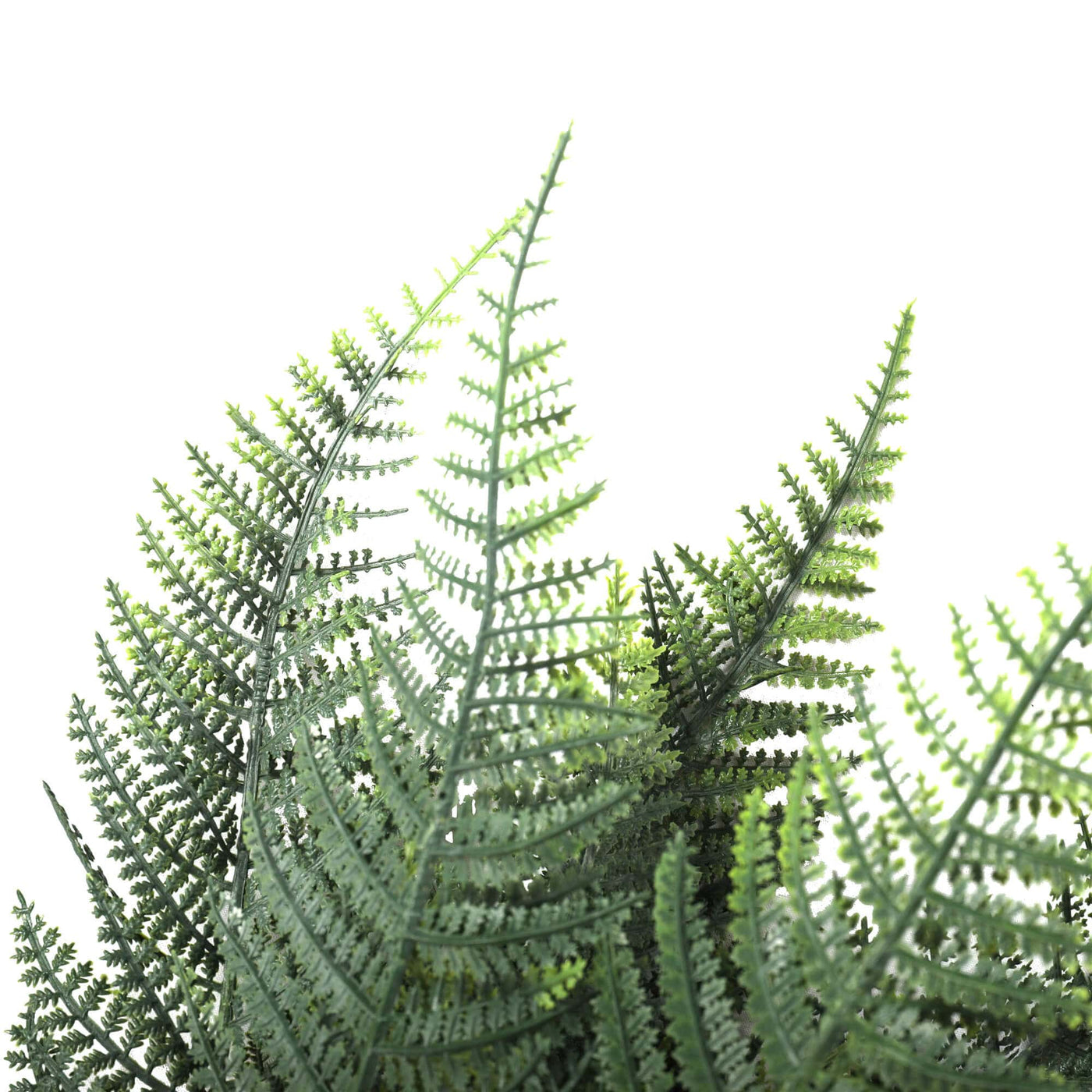 Premium Artificial Australian Fern UV Resistant 50cm