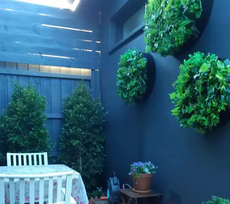 Backyard Cottage Decoration
