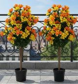 Flowering Yellow and Orange Bougainvillea Tree 90cm UV Resistant