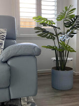 Split Philodendron Monstera Deliciosa (Split Leaf) 120cm