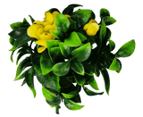 Flowering Yellow Rose Stem UV Resistant 30cm