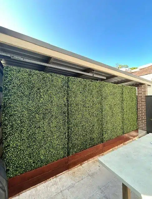 Large Portable Mixed Boxwood Hedge UV Resistant 100cm Long x 200cm High