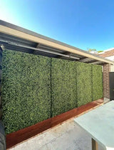 Large Portable Mixed Boxwood Hedge UV Resistant 100cm Long x 200cm High