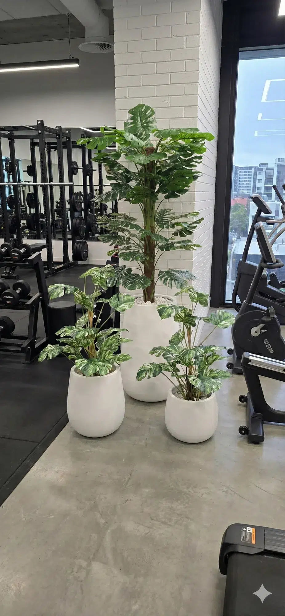 Premium Artificial Monstera Deliciosa / Variegated Monstera (Swiss Cheese) 90cm