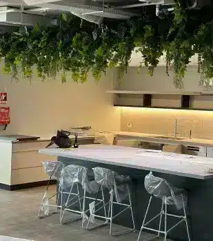 hanging plants for offices designer platn