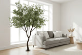 Modern living room with a gray sofa, decorative plant, and side table.