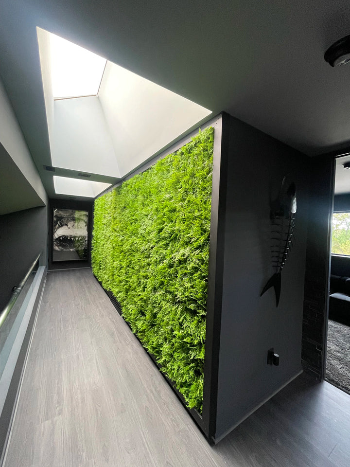 Modern Hallway Transformation with Mediterranean Fern Vertical Garden