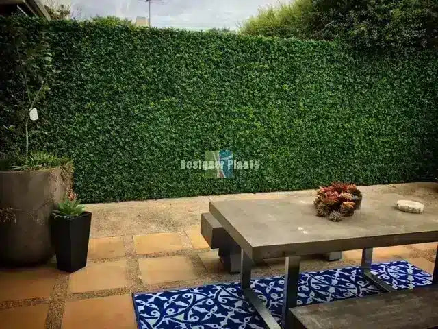 A landscaped outdoor patio area with a tall green hedge, a stone table, blue patterned rugs, and potted plants. A semi-transparent 'Designer Plants' watermark is visible in the center.