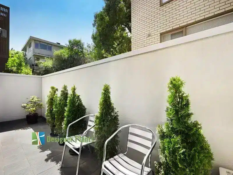 Before – Hedge Screenings are the perfect solution to beautify a patio area.