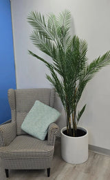 Premium Artificial Areca Palm Tree 210cm UV Resistant (New Arrival)