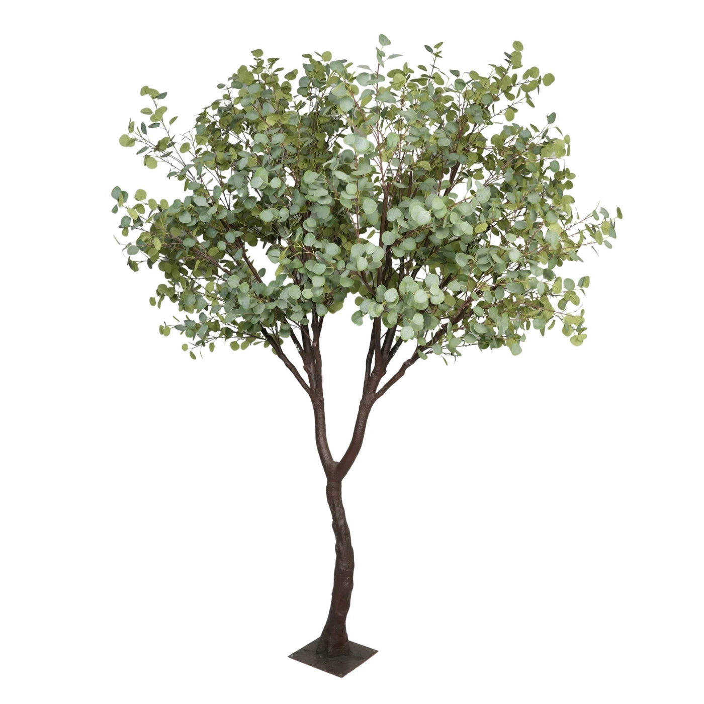 Artificial eucalyptus tree on a white background