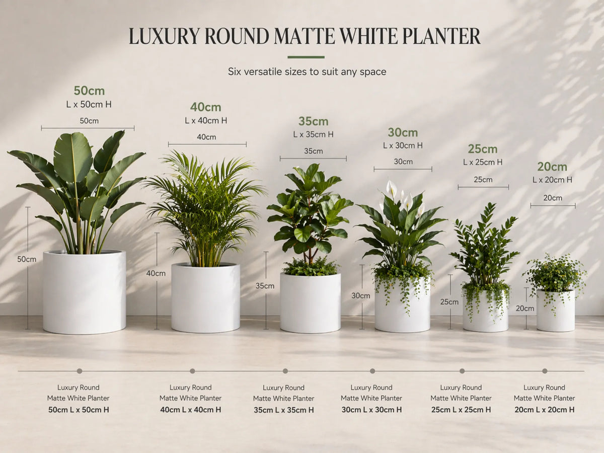 Luxury Round Matt White Planter Set of 6 | Premium Pot Range