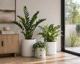 Luxury Round Matt White Planter Set of 6 | Premium Pot Range