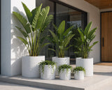 Luxury Round Matt White Planter Set of 6 | Premium Pot Range