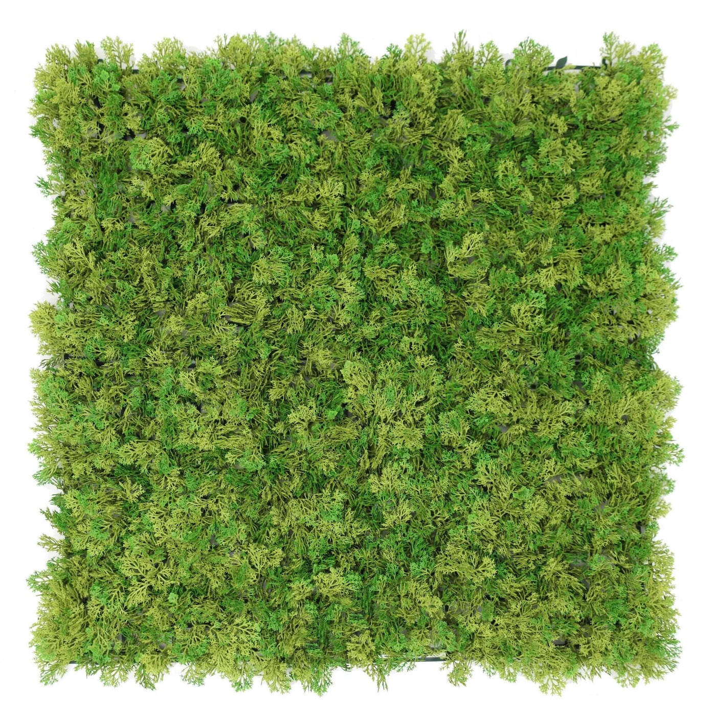 Nearly Natural Two-tone Moss Panel UV Resistant 100cm x 100cm - Designer Plants