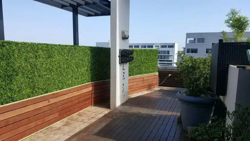 Boxwood Hedges used as a priavacy screen along a balcony