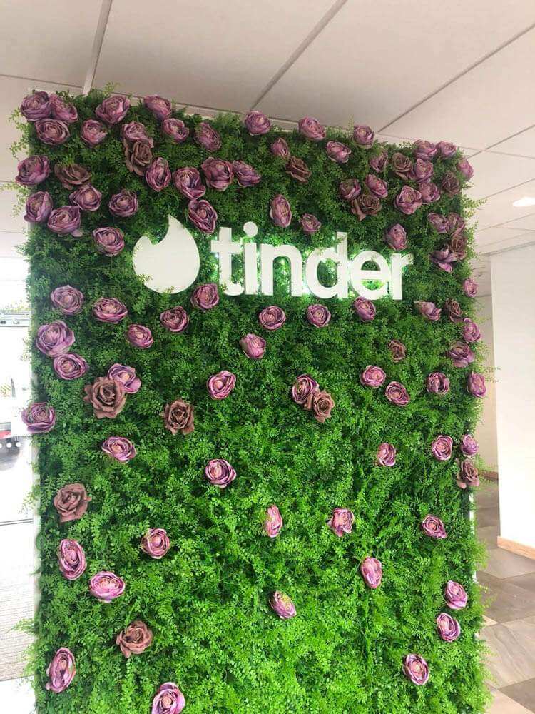 Mediterranean Fern Vertical Garden / Green Wall UV Resistant 1m x 1m