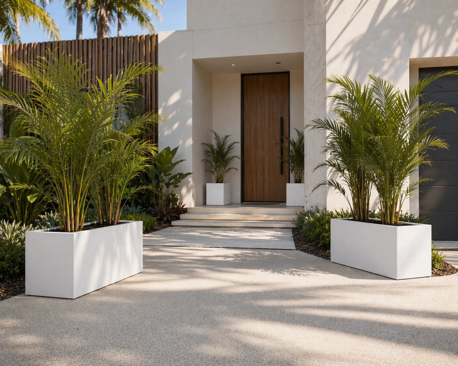 Luxury Rectangular Trough Planter Set of 3 | Matt White | Premium Pot Range - Designer Plants