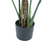 Premium Potted Split Leaf Monstera / Philodendron 150cm UV Resistant