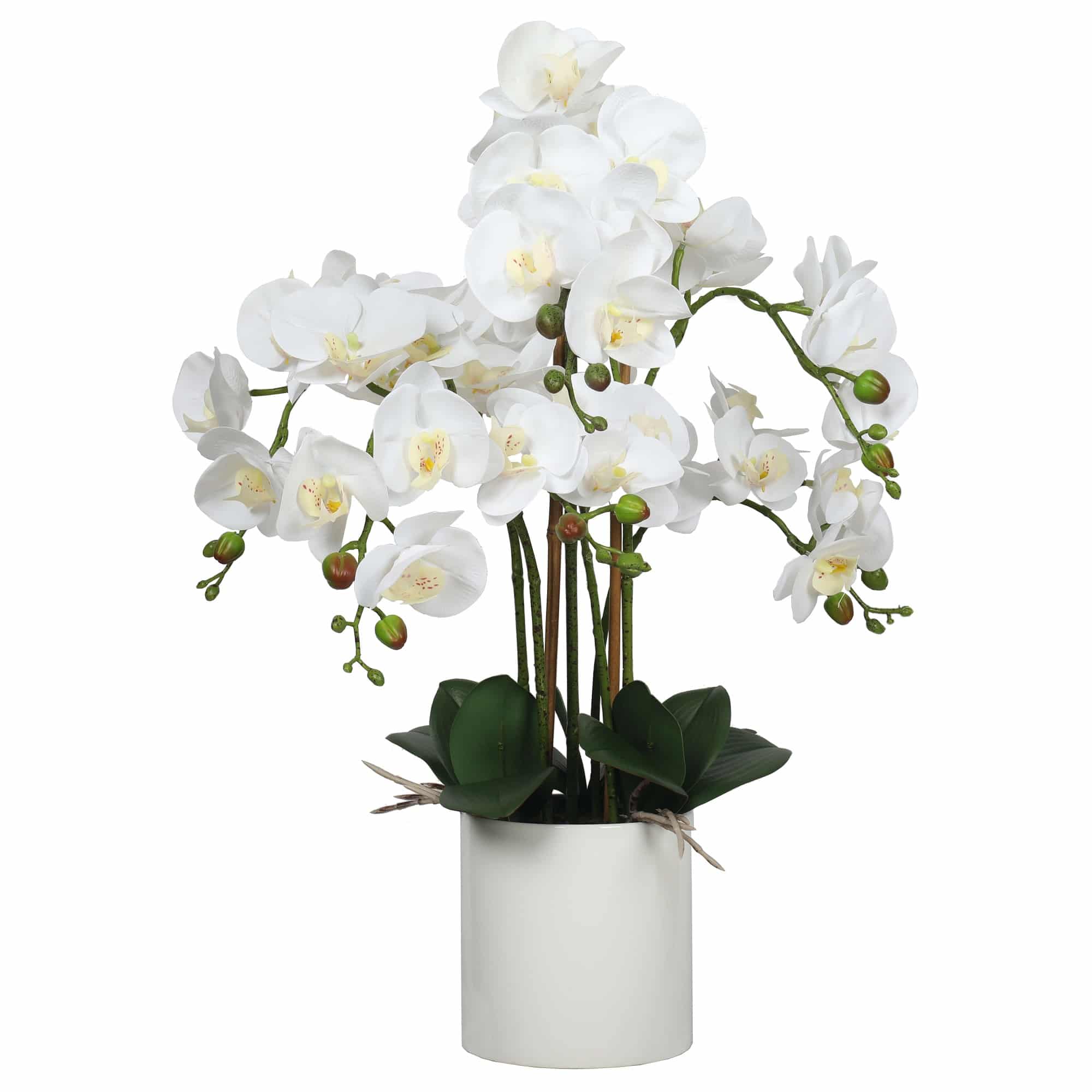 Large Multi-Stem White Potted Faux Orchid 65cm - Designer Plants