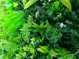 Wild Tropics Vertical Garden / Green Wall UV Resistant 100cm x 100cm