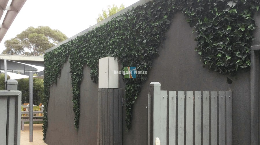 Boston Ivy Leaf Screen Green Wall Panel UV Resistant SAMPLE