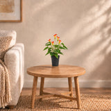 50cm artificial orange calla lily in its supplied black pot on a living-room side table; furniture shown for styling.