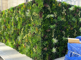 Luxury Evergreen Rainforest Recycled Vertical Garden / Green Wall UV Resistant 1m x 1m
