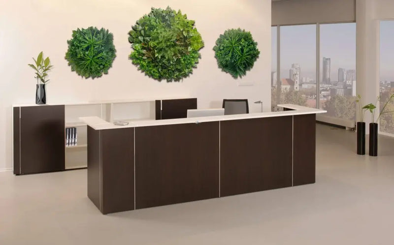 Office reception area with green walls used to create a backdrop