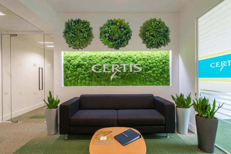 Medical waiting room with 3 green wall discs