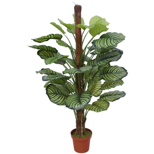 Artificial Calathea Plant in Pot 110cm